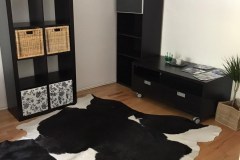 Apartmány Lend